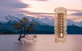 大方广佛华严经卷第二十一-内学智慧