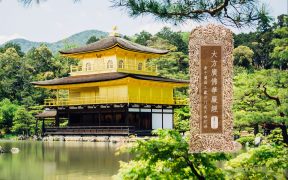 大方广佛华严经卷第二十九-内学智慧