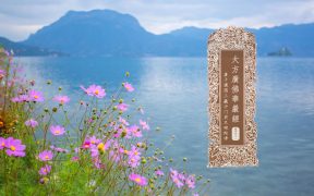 大方广佛华严经卷第四十一-内学智慧