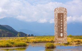 大方广佛华严经卷第四十九-内学智慧