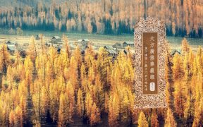 大方广佛华严经卷第七十七-内学智慧