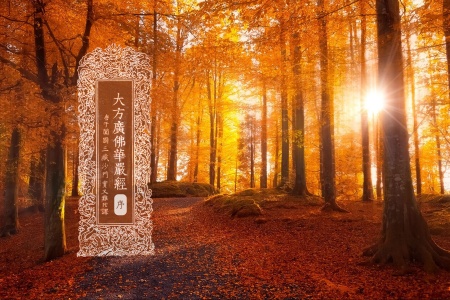 大方广佛华严经序-内学智慧