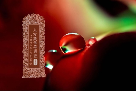 大方广佛华严经卷第十-内学智慧