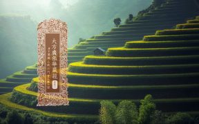 大方广佛华严经卷第二-内学智慧