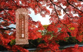 大方广佛华严经卷第四-内学智慧