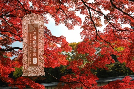 大方广佛华严经卷第四-内学智慧