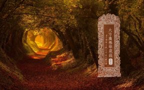 大方广佛华严经卷第五-内学智慧