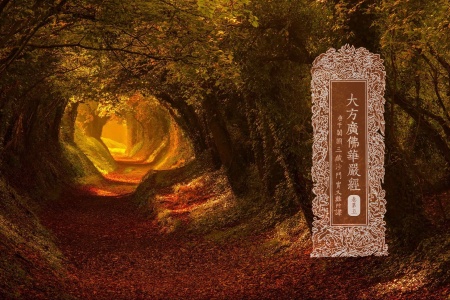 大方广佛华严经卷第五-内学智慧