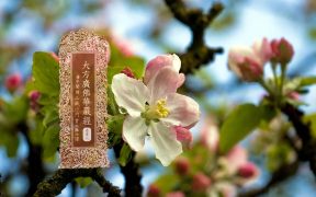 大方广佛华严经卷第六-内学智慧