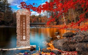 大方广佛华严经卷第八-内学智慧