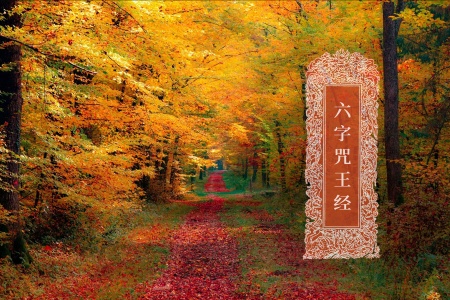 六字咒王经-内学智慧