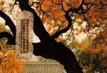 离垢慧菩萨所问礼佛法经-内学智慧