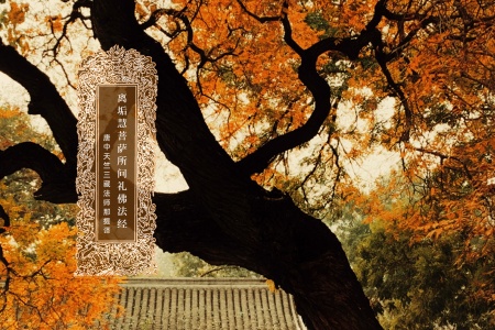 离垢慧菩萨所问礼佛法经-内学智慧