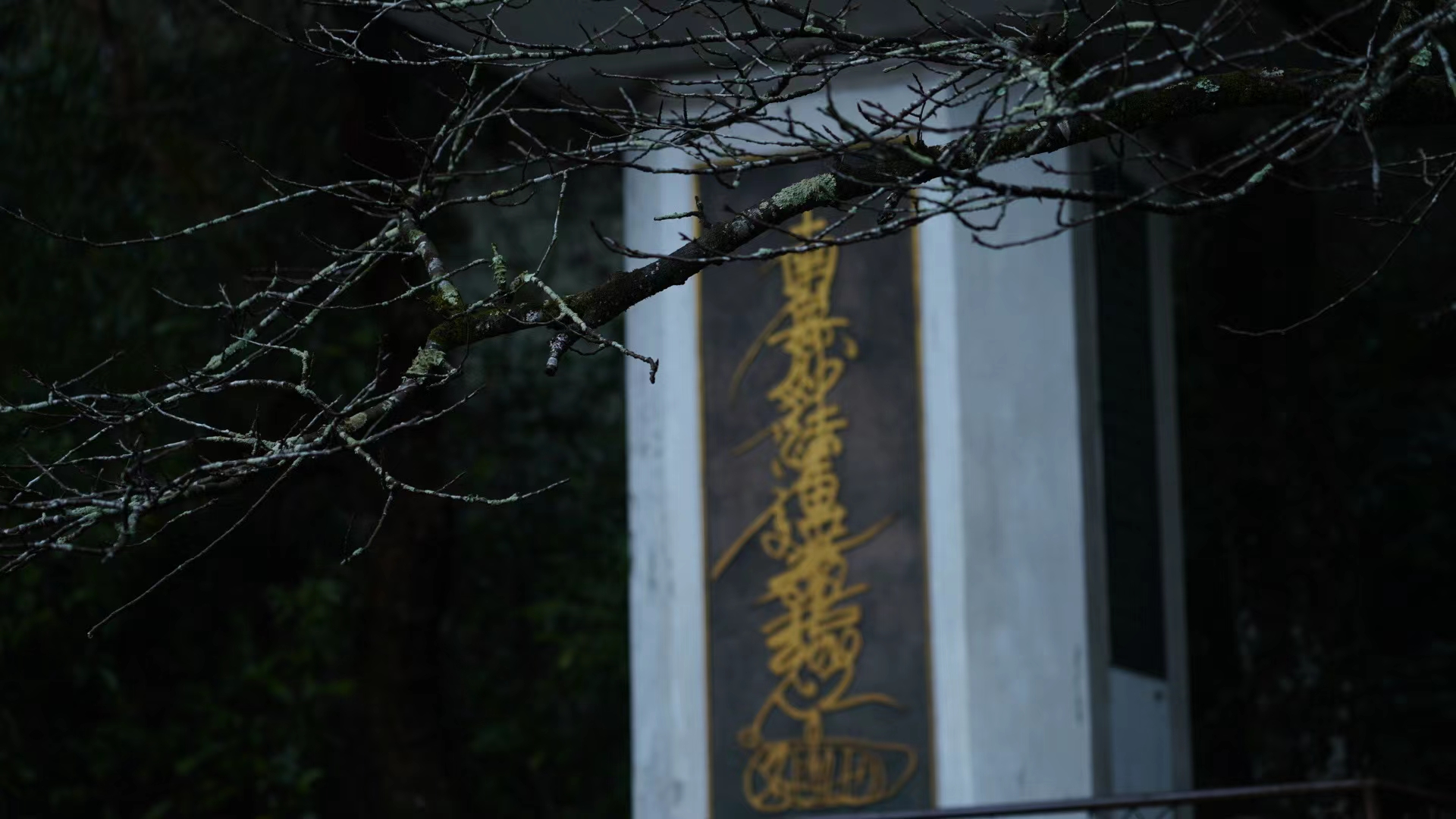 弥沙塞部和醯五分律卷第二十七