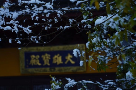 十住断结经卷第十二-内学智慧