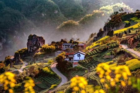 十住断结经卷第十-内学智慧