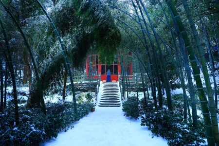 南本大般涅槃经卷第十七-内学智慧