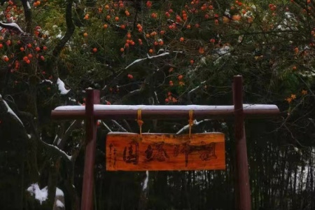 撰集百缘经卷第十-内学智慧