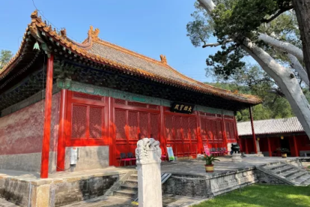 贤愚因缘经卷第六-内学智慧