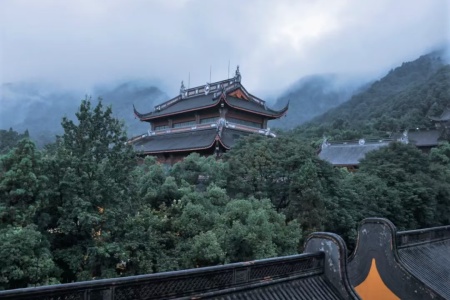 贤愚因缘经卷第十一-内学智慧