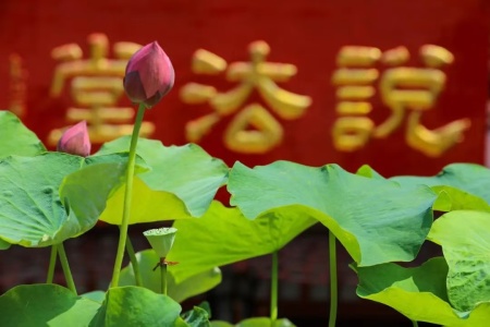 佛说长阿含经卷第一-内学智慧