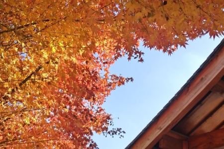 大方等大集经卷第二十五-内学智慧