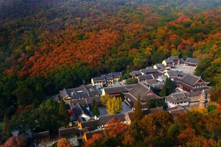 鞞婆沙论 十八卷-内学智慧