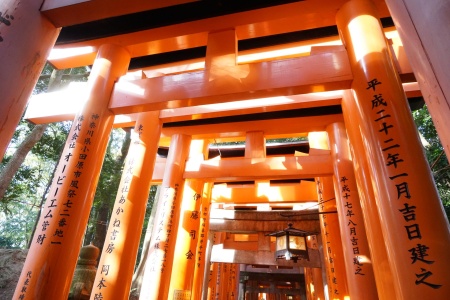 出曜经卷第十四-内学智慧