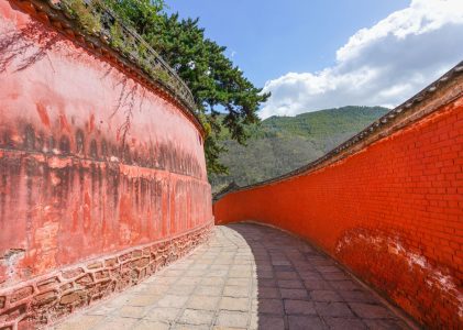 大方广菩萨藏文殊师利根本仪轨经卷第十九