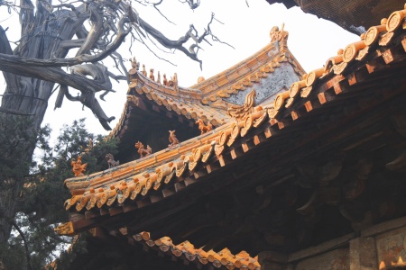 大明度无极经-内学智慧