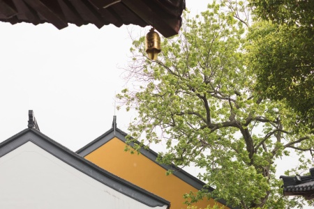 大乘金刚髻珠菩萨修行分经-内学智慧