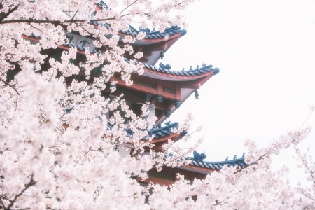 大方等大集贤护经-内学智慧