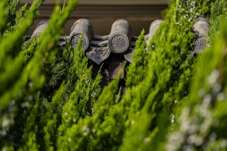 庄严王陀罗尼咒经-内学智慧