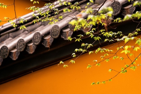 正法念处经卷第六十-内学智慧