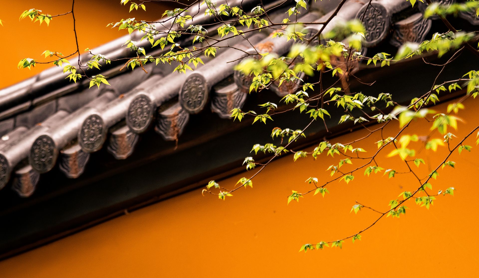 瑜伽师地论卷第四十八