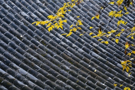 大乘大方等日藏经卷第六-内学智慧