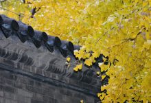 正法念处经卷第六十六-内学智慧
