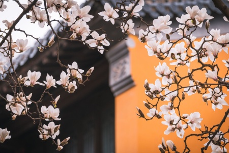 阿毗达磨大毗婆沙论卷第八十五-内学智慧