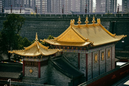 佛说犯戒罪报轻重经-内学智慧