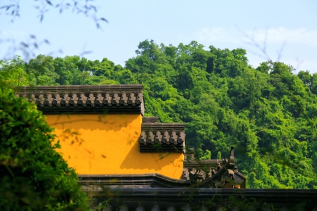 佛说鹿母经-内学智慧