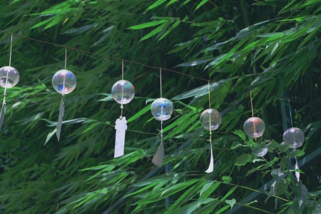 十诵律卷第四十二-内学智慧