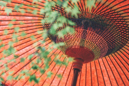 大宝积经卷第二十九-内学智慧