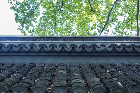 佛说胞胎经-内学智慧