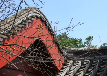 根本说一切有部尼陀那五卷
