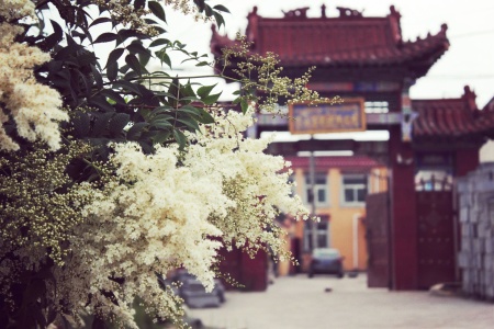 放光般若波罗蜜经卷第二十一-内学智慧