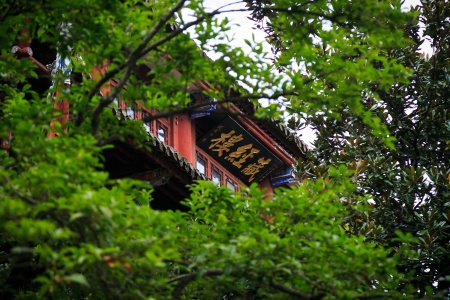 得无垢女经-内学智慧