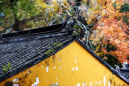 佛说大乘日子王所问经-内学智慧