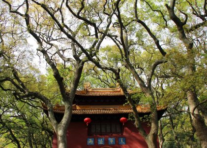 天请问经
