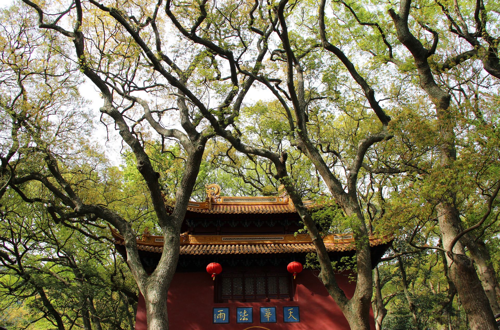 天请问经