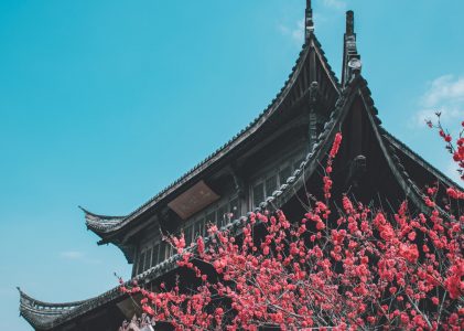 大乘阿毗达磨杂集论卷第四